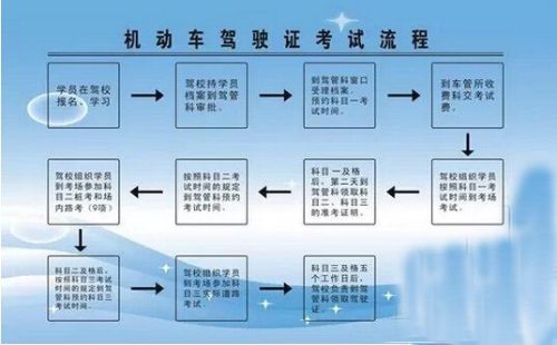 交警队：报考驾照流程和价格