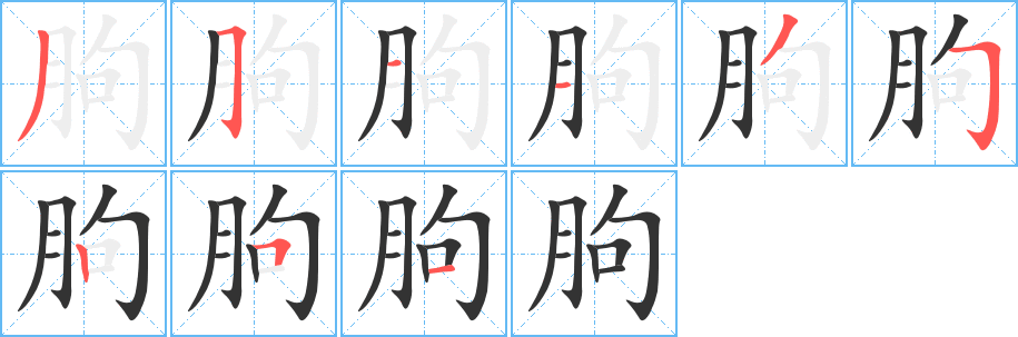 朐字的笔顺分步演示