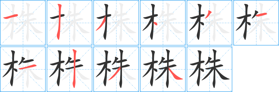 株字的笔顺分步演示