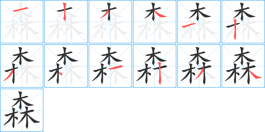 森字的笔顺分步演示