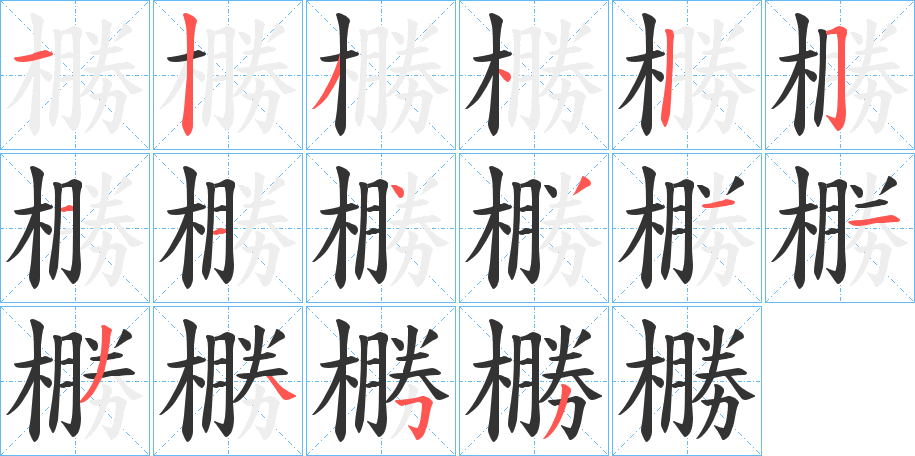 橳字的笔顺分步演示