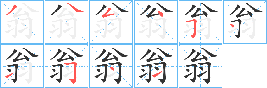 翁字的笔顺分步演示