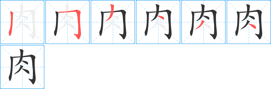 肉字的笔顺分步演示