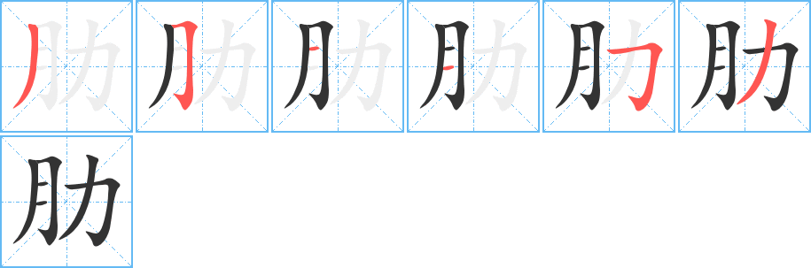 肋字的笔顺分步演示