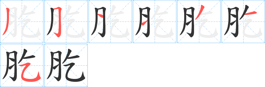 肐字的笔顺分步演示