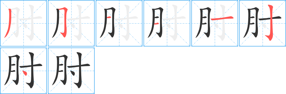 肘字的笔顺分步演示