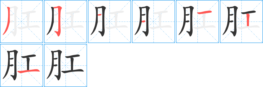 肛字的笔顺分步演示