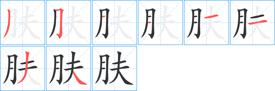 肤字的笔顺分步演示