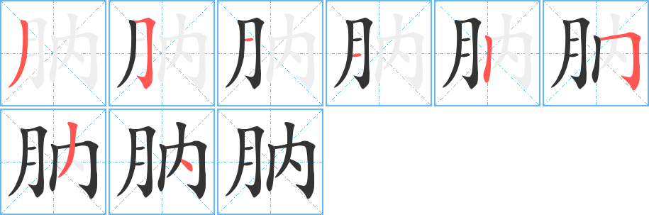 肭字的笔顺分步演示