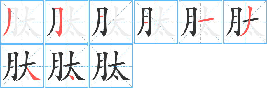 肽字的笔顺分步演示