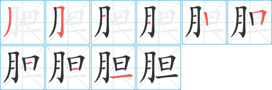 胆字的笔顺分步演示