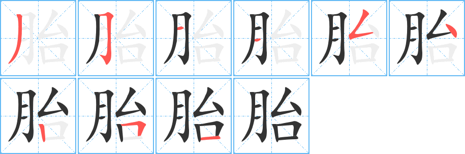 胎字的笔顺分步演示