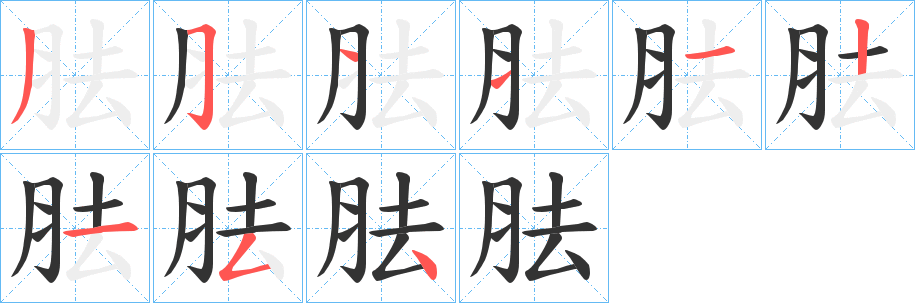 胠字的笔顺分步演示