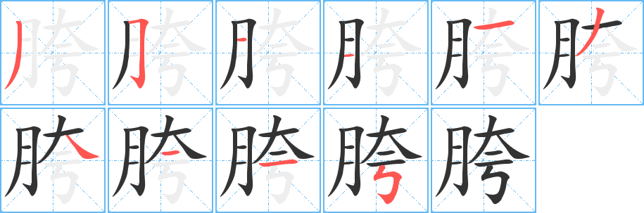 胯字的笔顺分步演示