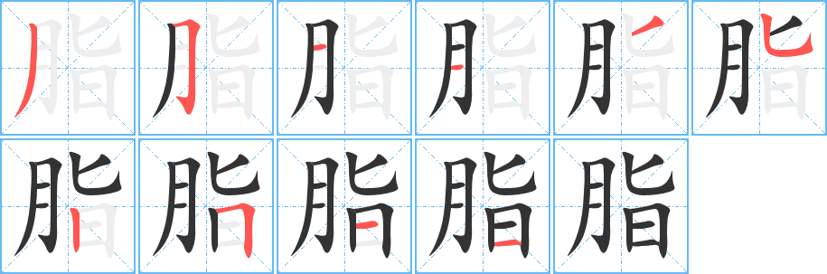 脂字的笔顺分步演示