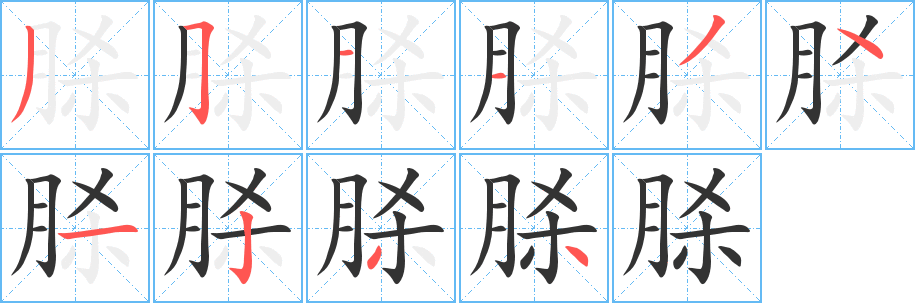 脎字的笔顺分步演示