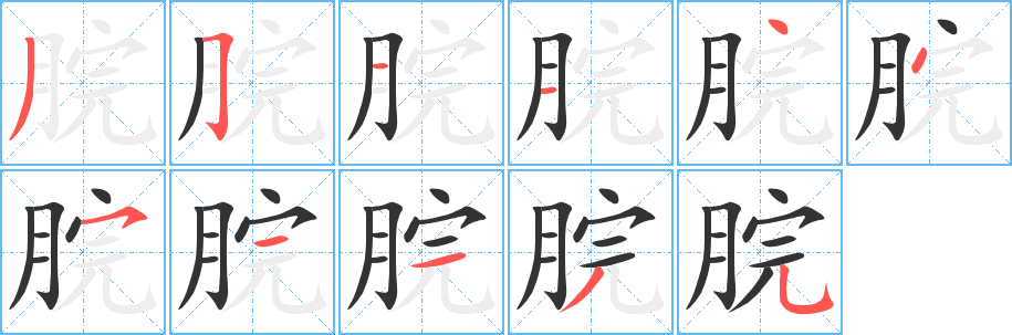 脘字的笔顺分步演示