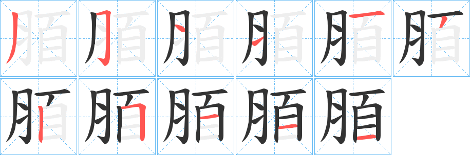 脜字的笔顺分步演示