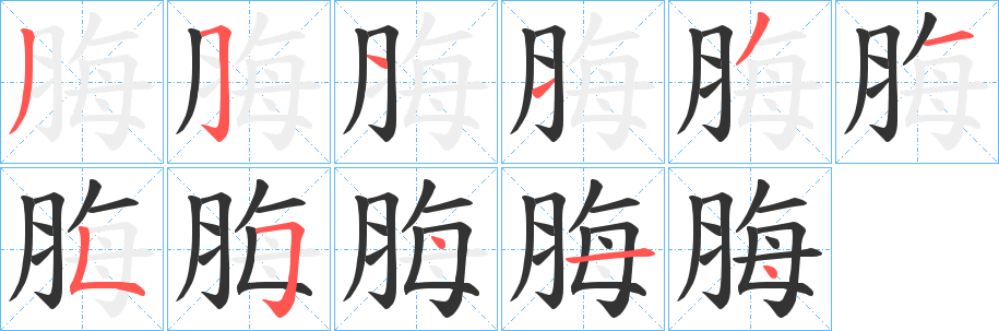 脢字的笔顺分步演示