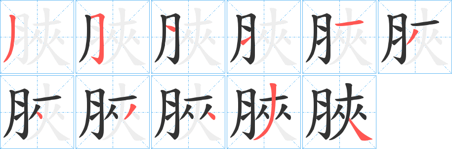 脥字的笔顺分步演示