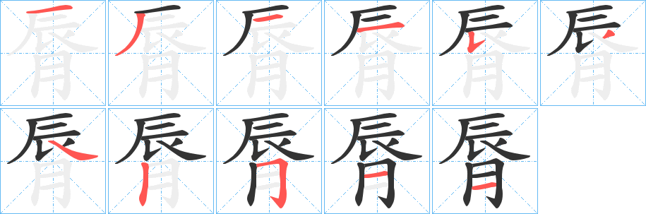 脣字的笔顺分步演示