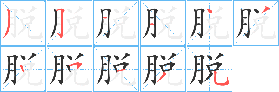 脱字的笔顺分步演示