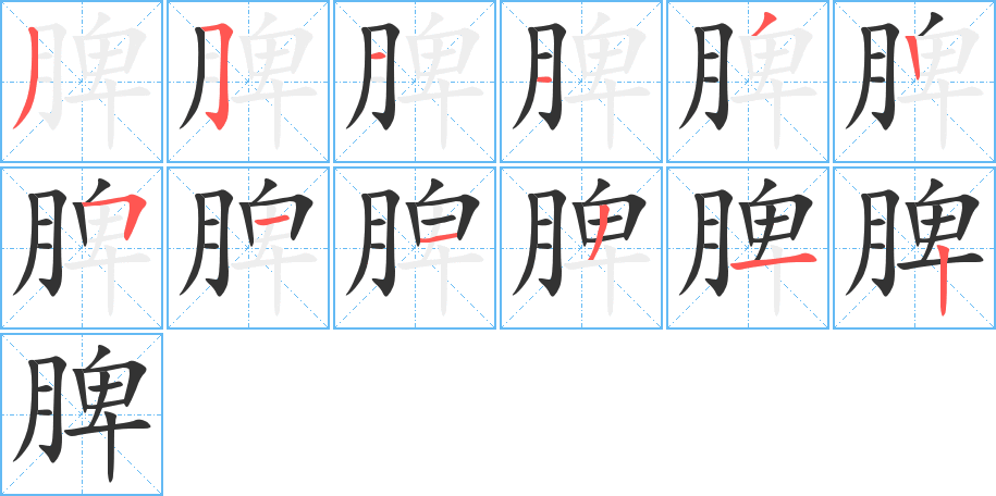 脾字的笔顺分步演示