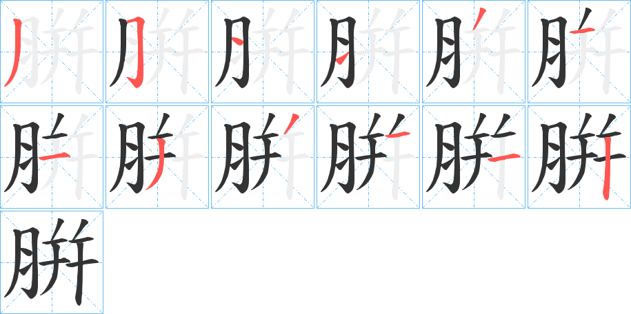 腁字的笔顺分步演示