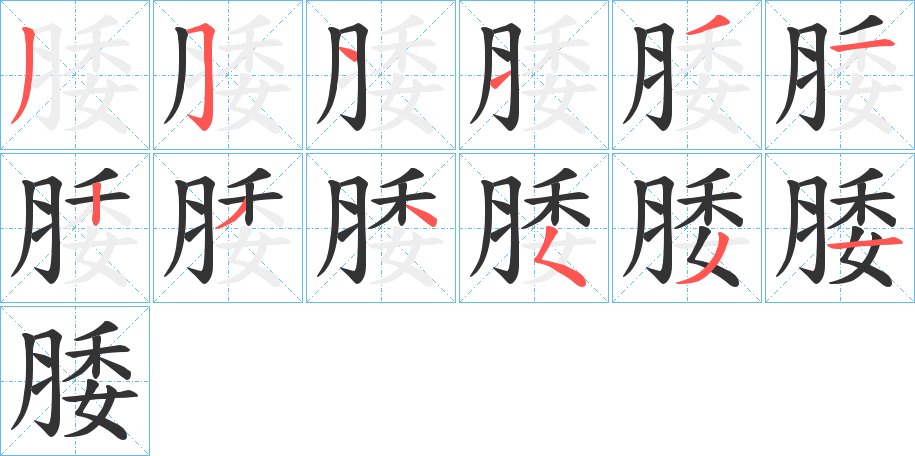 腇字的笔顺分步演示