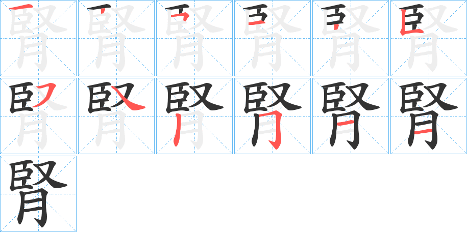 腎字的笔顺分步演示