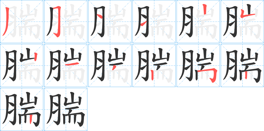 腨字的笔顺分步演示