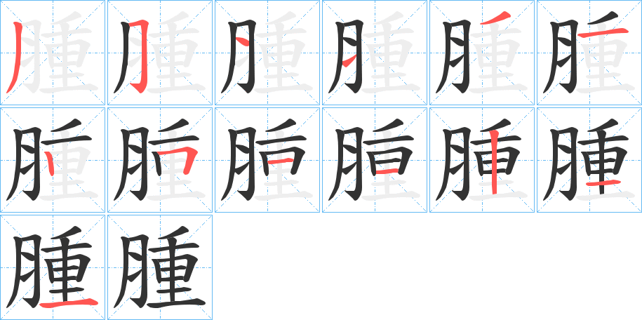 腫字的笔顺分步演示