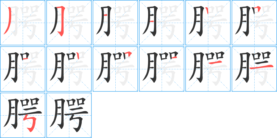 腭字的笔顺分步演示