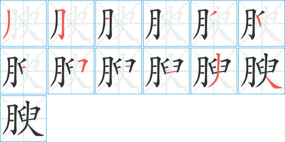 腴字的笔顺分步演示