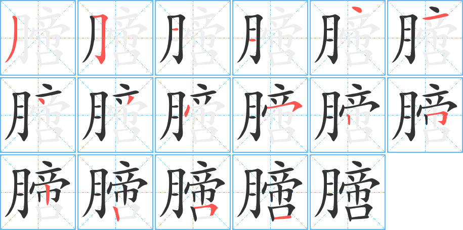 膪字的笔顺分步演示