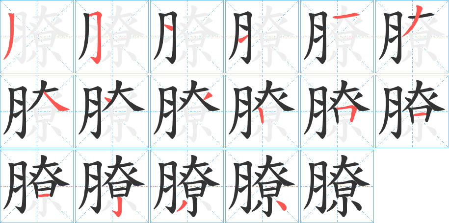 膫字的笔顺分步演示