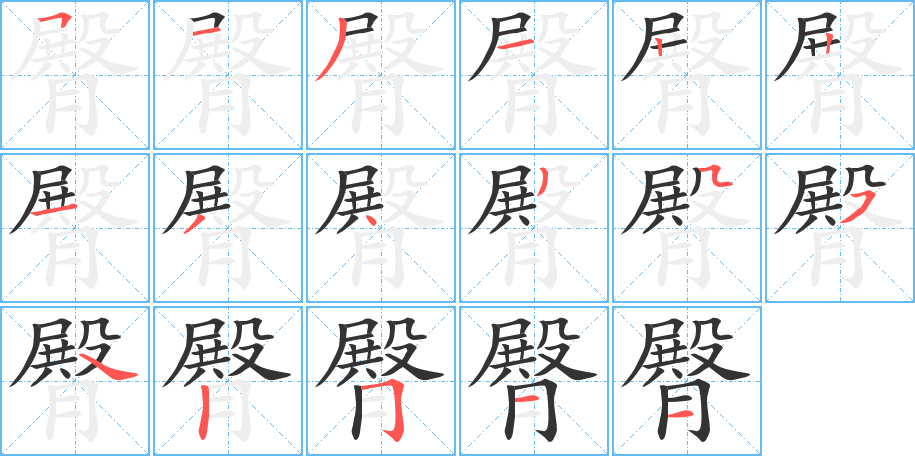 臀字的笔顺分步演示