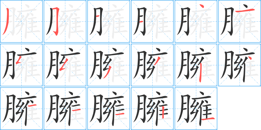 臃字的笔顺分步演示