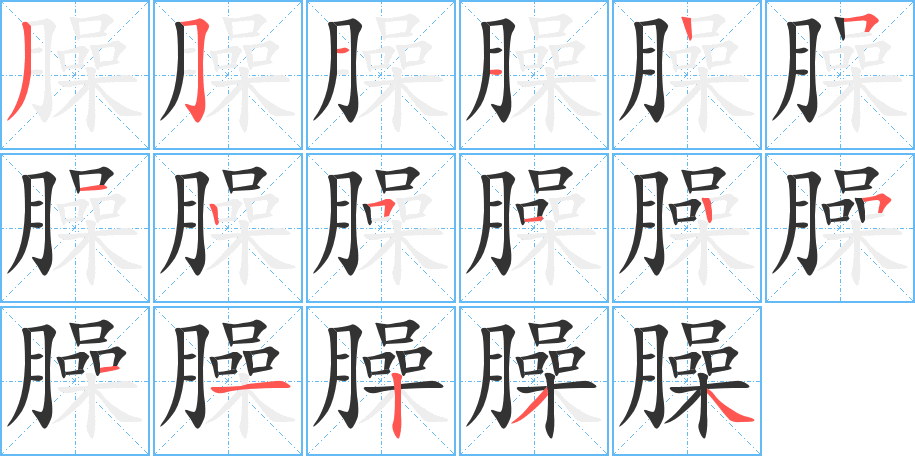 臊字的笔顺分步演示