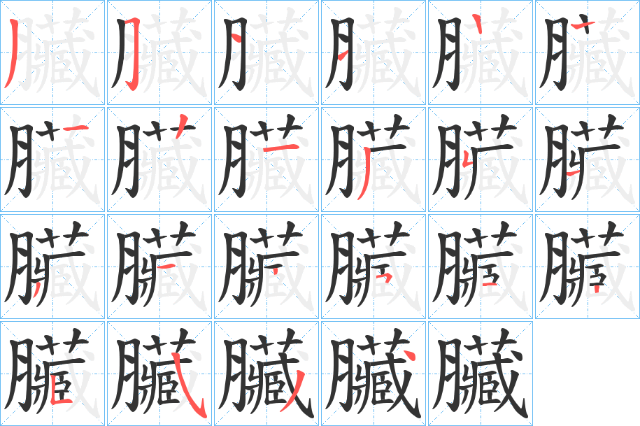 臟字的笔顺分步演示