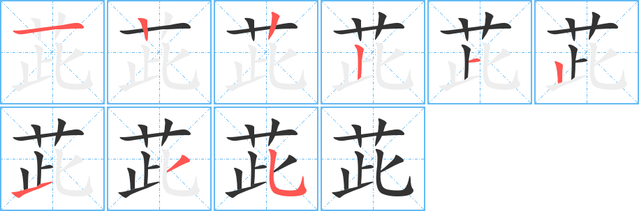 茈字的笔顺分步演示