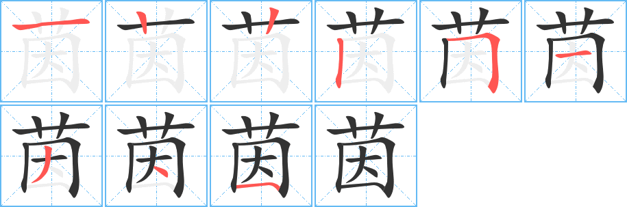 茵字的笔顺分步演示