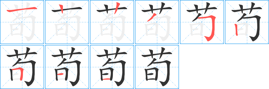 荀字的笔顺分步演示