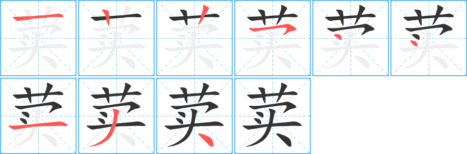 荬字的笔顺分步演示