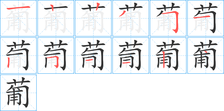 葡字的笔顺分步演示