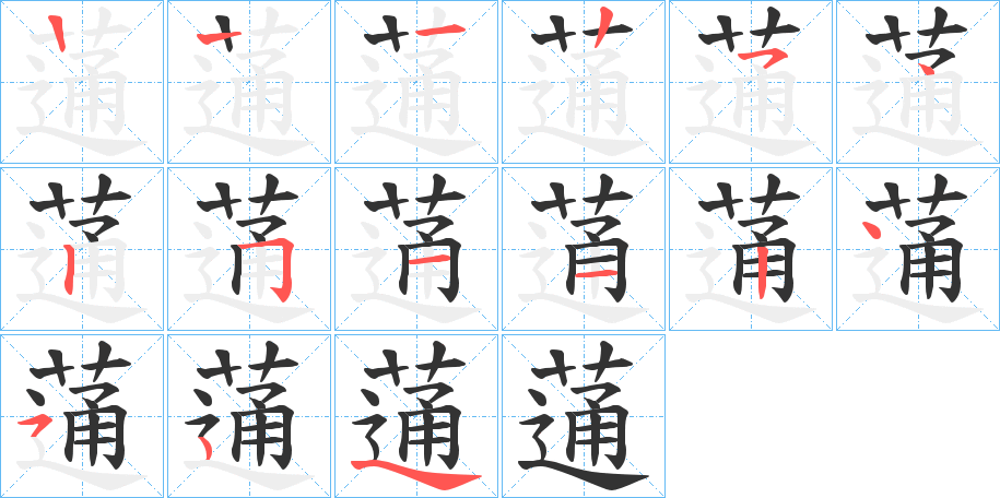 蓪字的笔顺分步演示