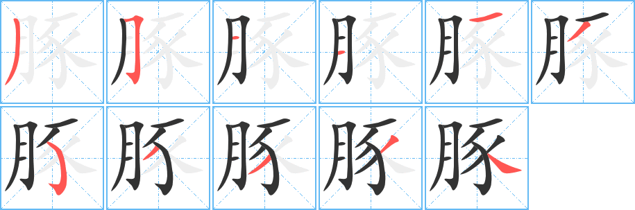 豚字的笔顺分步演示