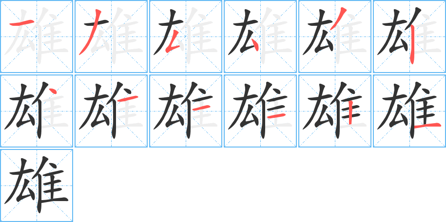 雄字的笔顺分步演示