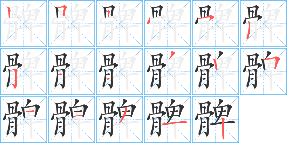 髀字的笔顺分步演示