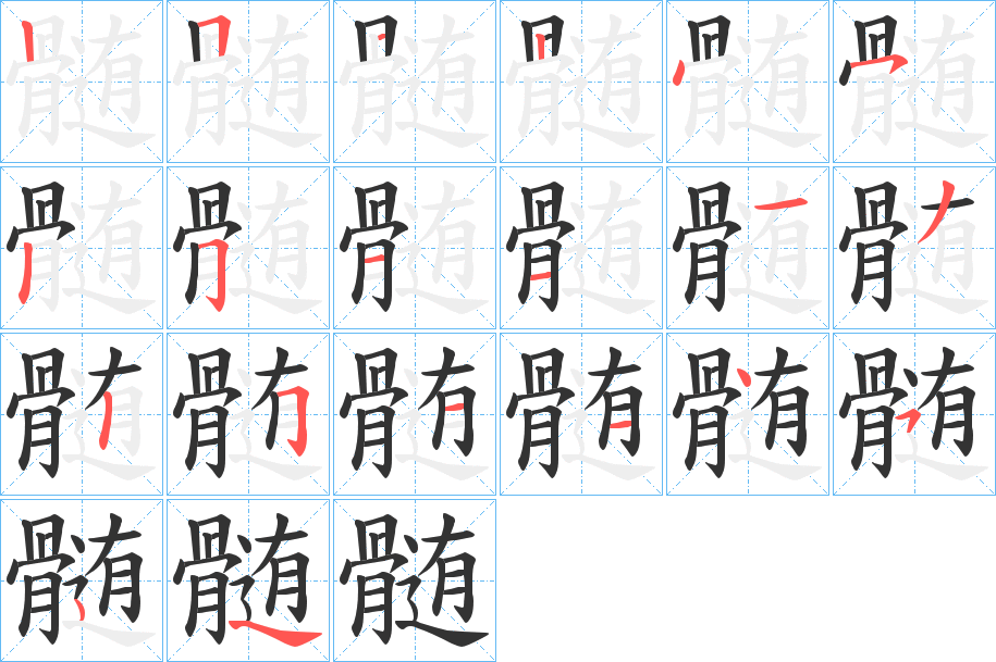 髄字的笔顺分步演示